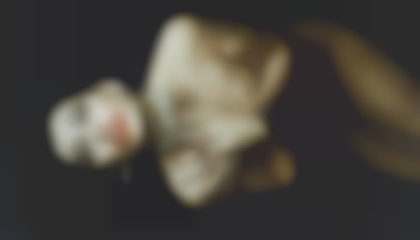 Exploration des avantages des conversations érotiques avec des hôtesses